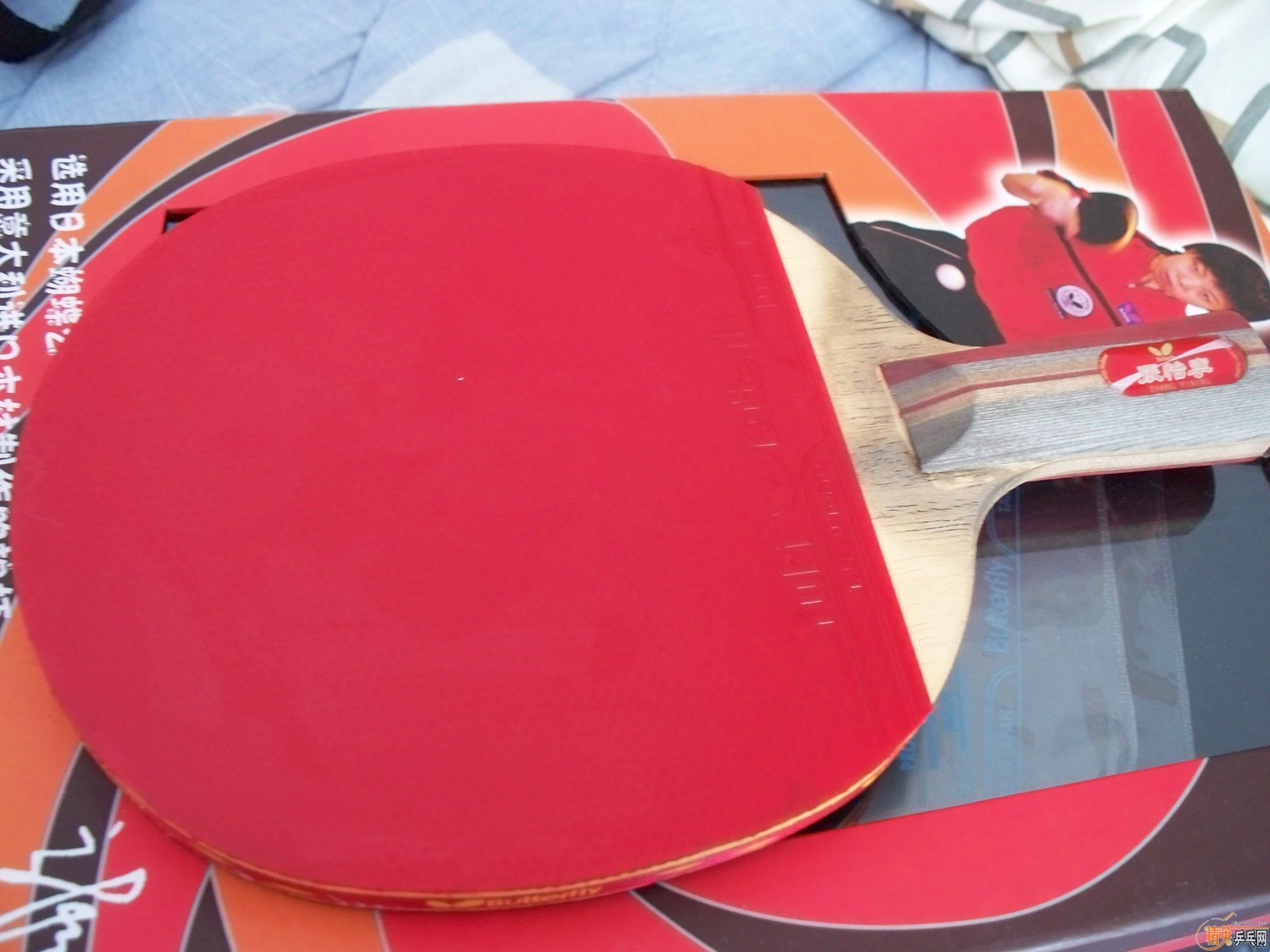 ������ƹ�����ģ�������������Ʒ���Լ�stiga allround classic�װ���������3����729������