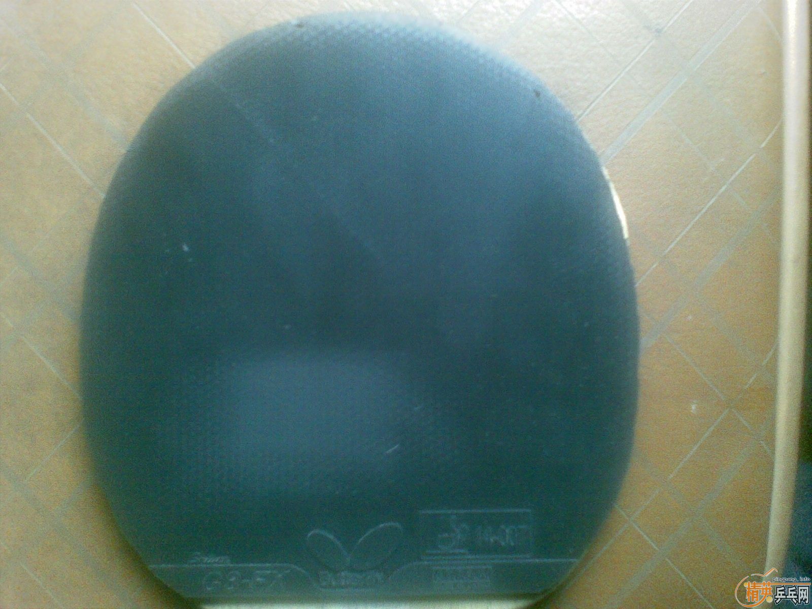 �� �ϸ�ͤYCA  �ͺ���G3FX��Ƥ 300Ԫ����