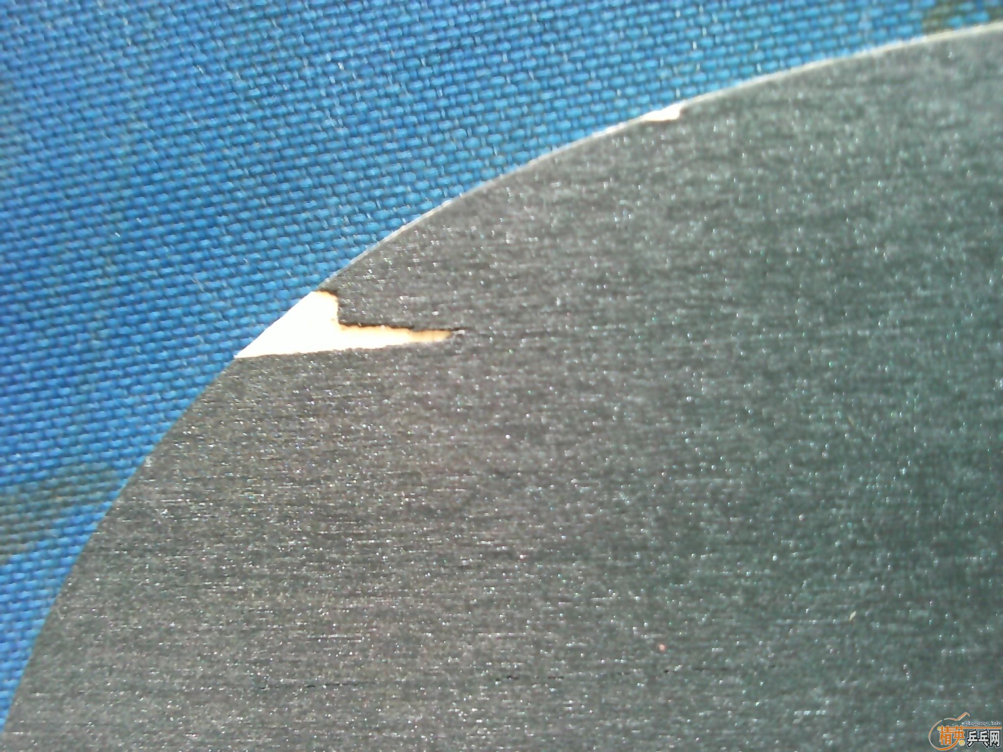 ���������˹�ٿ���ˮ���������EPOX ��ɫ�װ塣���������ֵ����Ǯ