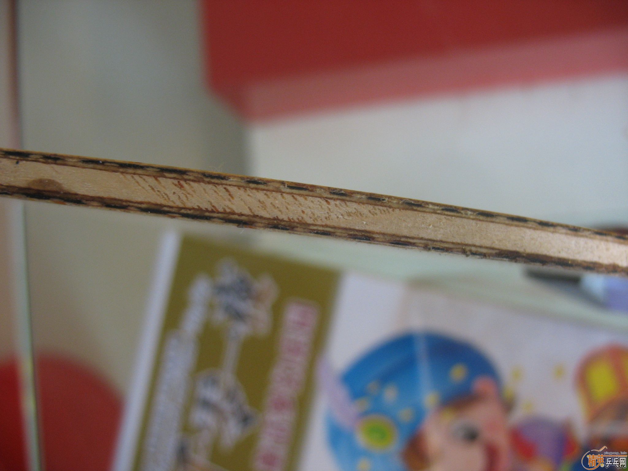 �ͼ۳���������ɭ��̼