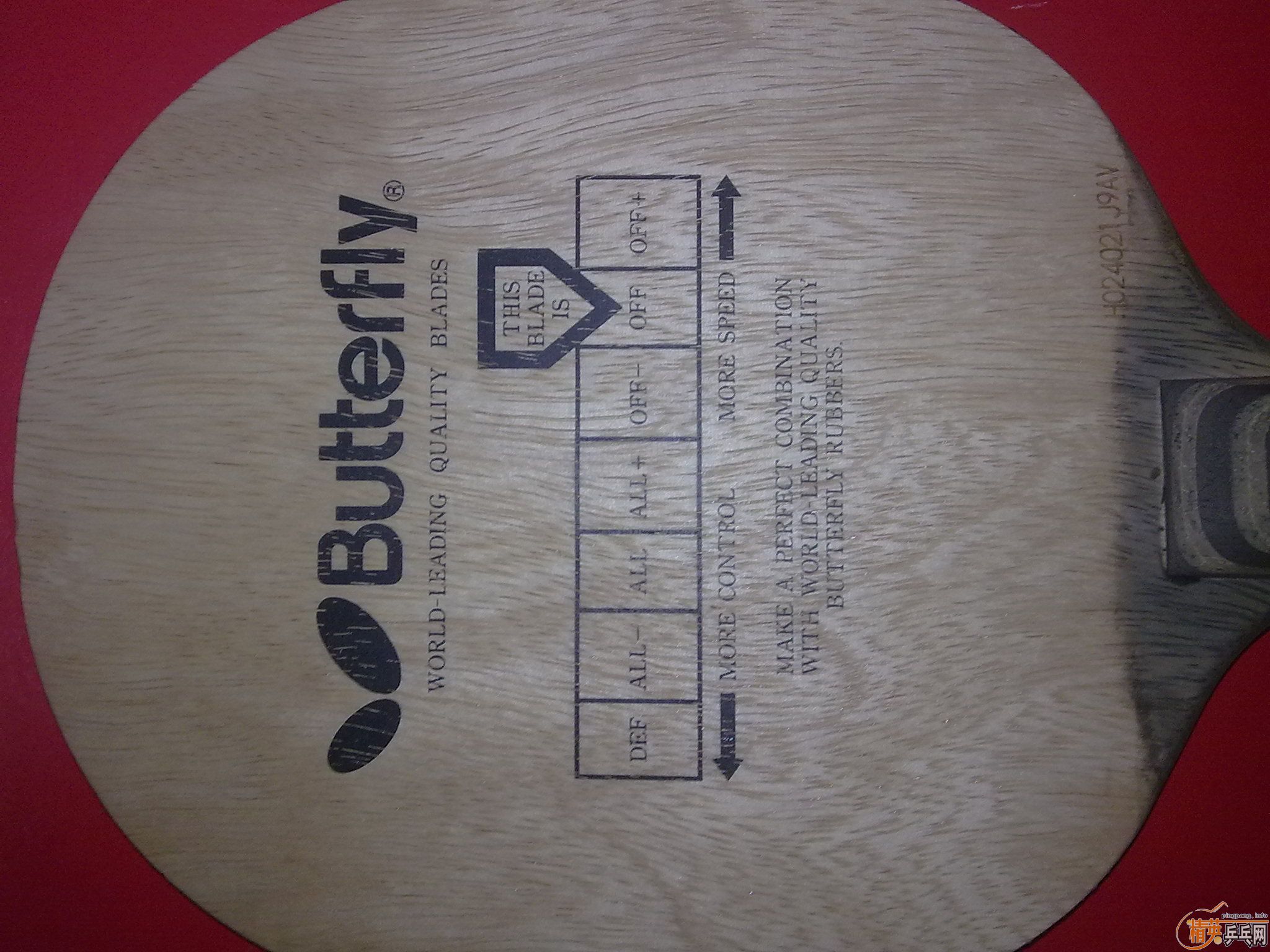 �����ѳ��ϱ�Ʊ���