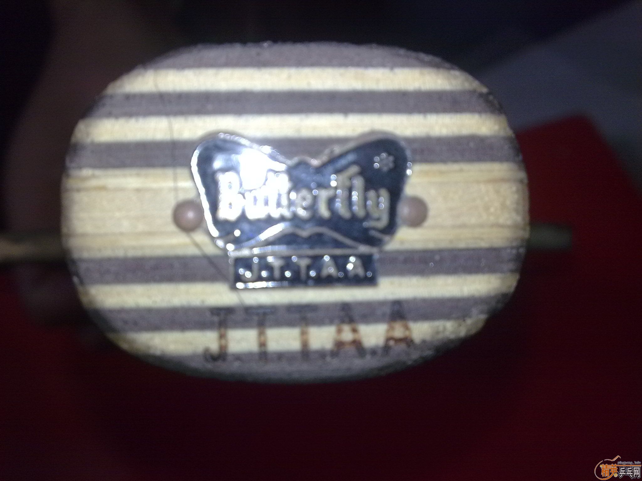 �����ѳ��ϱ�Ʊ���