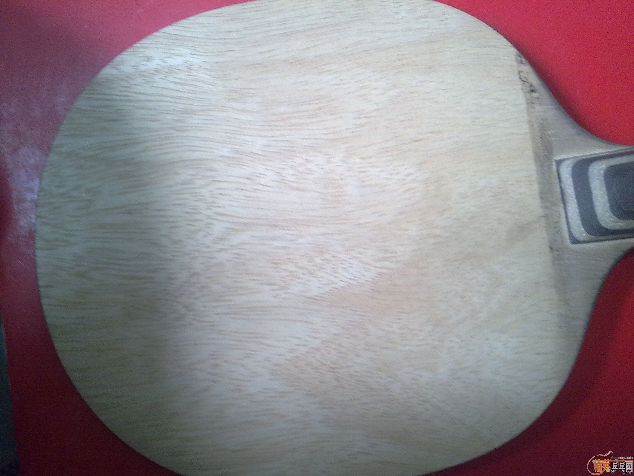 �����ѳ��ϱ�Ʊ���