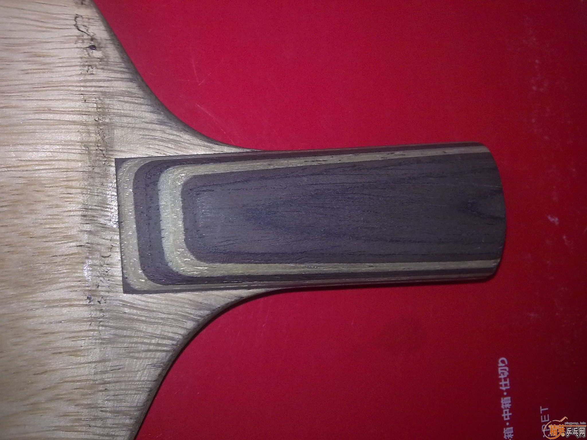 �����ѳ��ϱ�Ʊ���