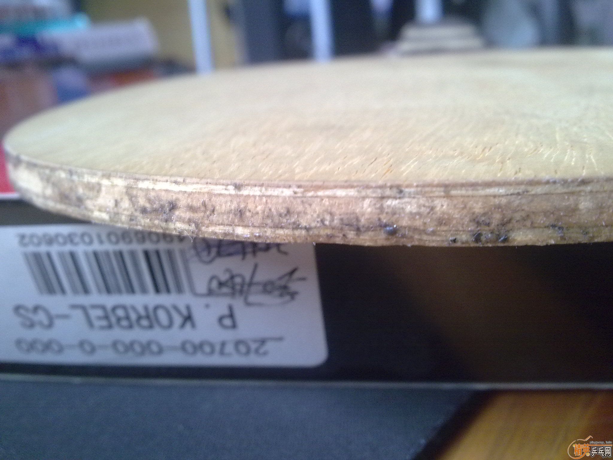 �����ѳ��ϱ�Ʊ���