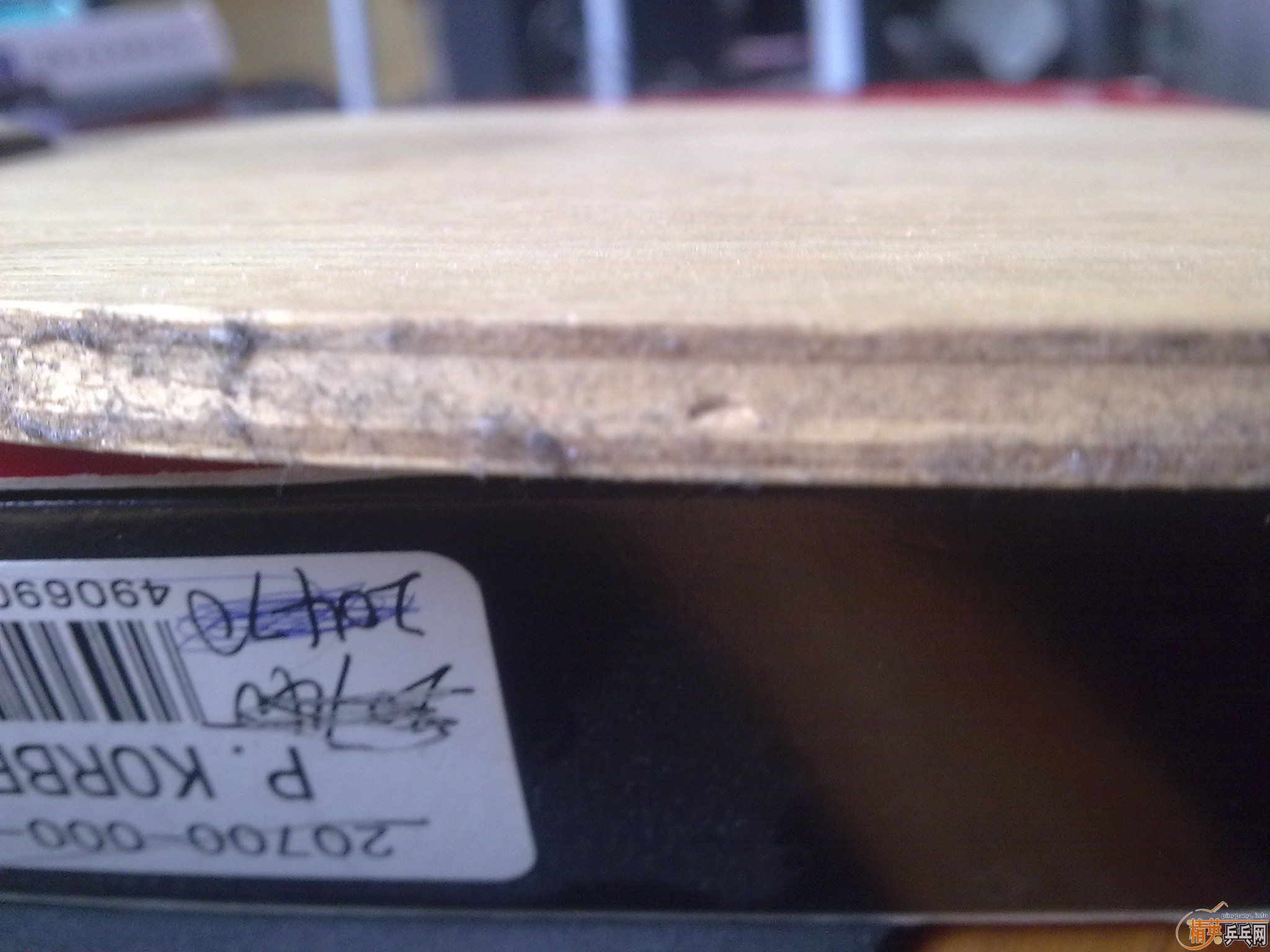 �����ѳ��ϱ�Ʊ���