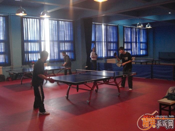 ��Ӣ�����ൺƹ�Ѿ��ֲ�����������״�������ʵ