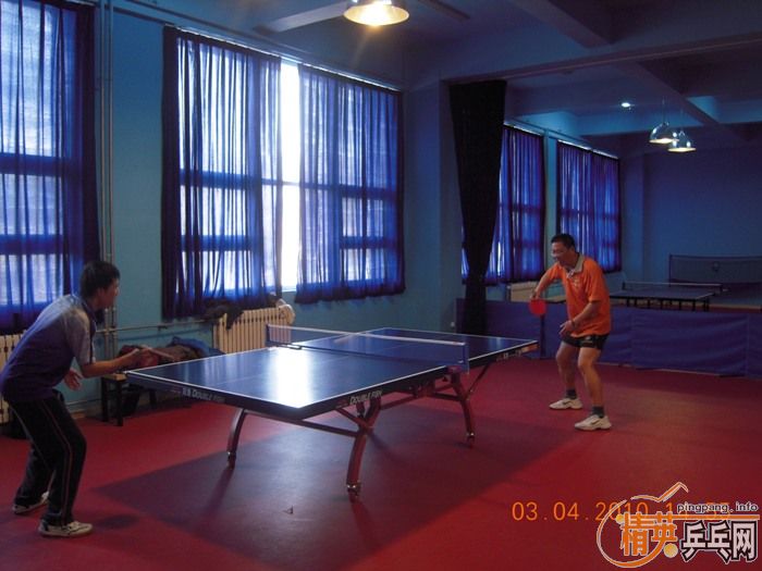 ��Ӣ�����ൺƹ�Ѿ��ֲ�����������״�������ʵ