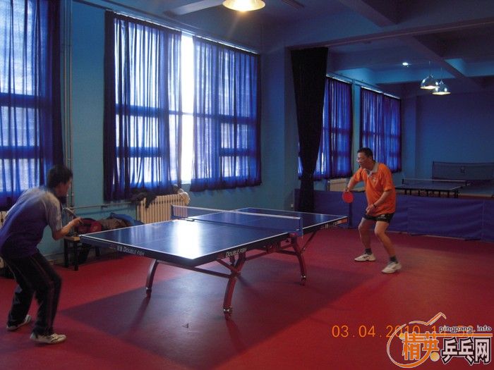 ��Ӣ�����ൺƹ�Ѿ��ֲ�����������״�������ʵ