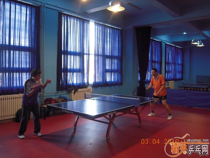 ��Ӣ�����ൺƹ�Ѿ��ֲ�����������״�������ʵ