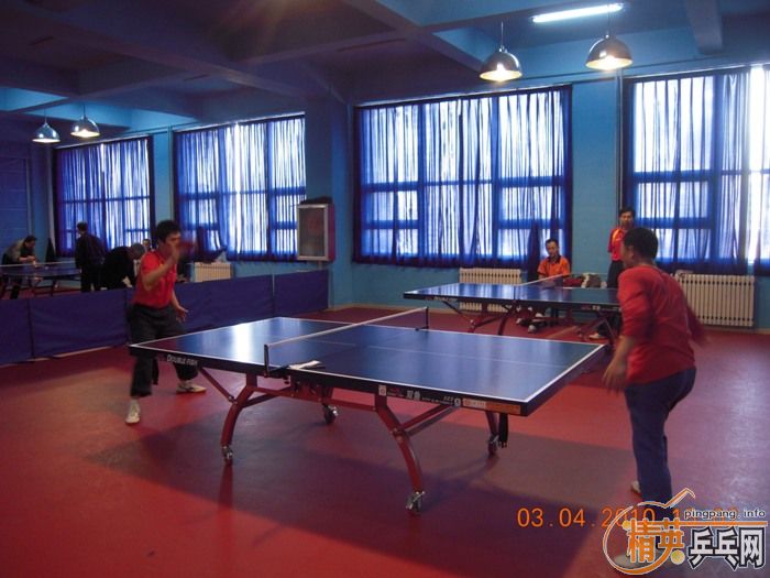 ��Ӣ�����ൺƹ�Ѿ��ֲ�����������״�������ʵ