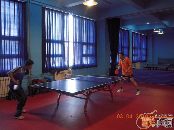 ��Ӣ�����ൺƹ�Ѿ��ֲ�����������״�������ʵ