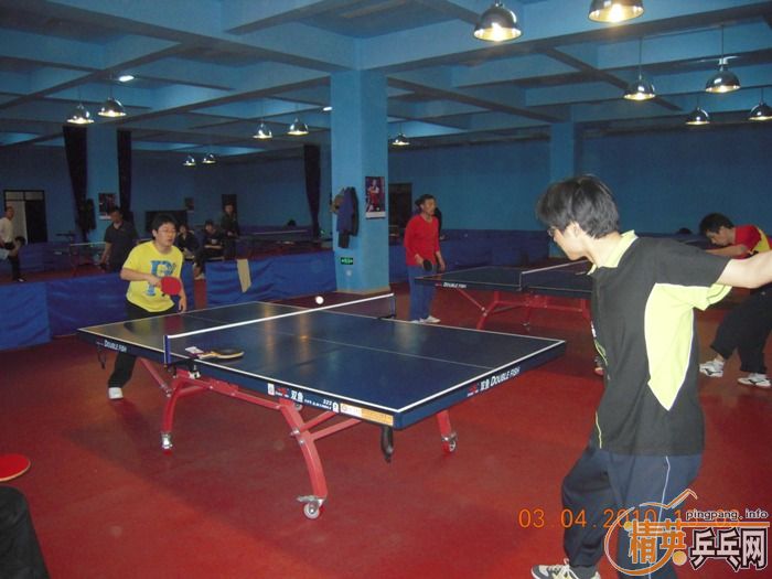 ��Ӣ�����ൺƹ�Ѿ��ֲ�����������״�������ʵ