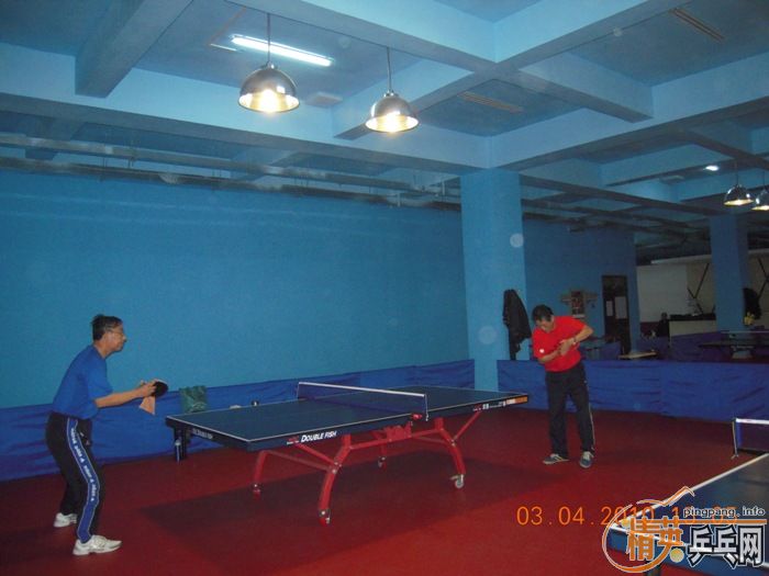 ��Ӣ�����ൺƹ�Ѿ��ֲ�����������״�������ʵ