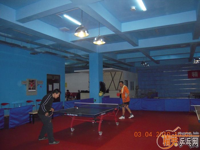 ��Ӣ�����ൺƹ�Ѿ��ֲ�����������״�������ʵ