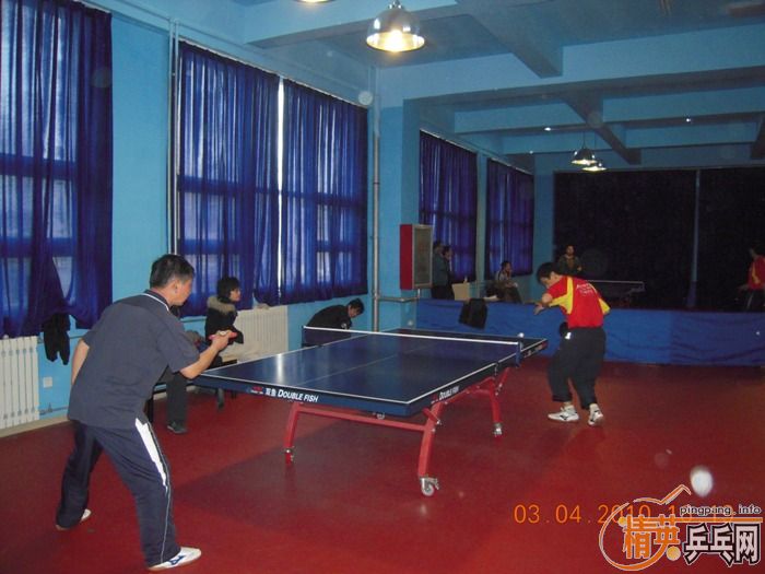 ��Ӣ�����ൺƹ�Ѿ��ֲ�����������״�������ʵ