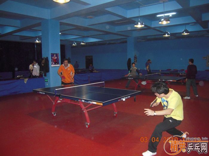 ��Ӣ�����ൺƹ�Ѿ��ֲ�����������״�������ʵ