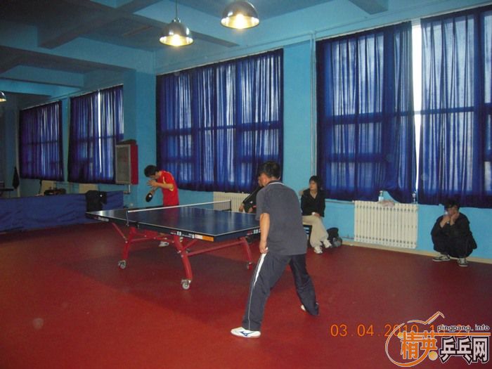 ��Ӣ�����ൺƹ�Ѿ��ֲ�����������״�������ʵ