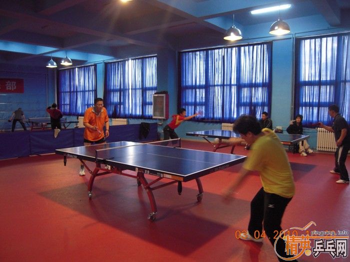 ��Ӣ�����ൺƹ�Ѿ��ֲ�����������״�������ʵ