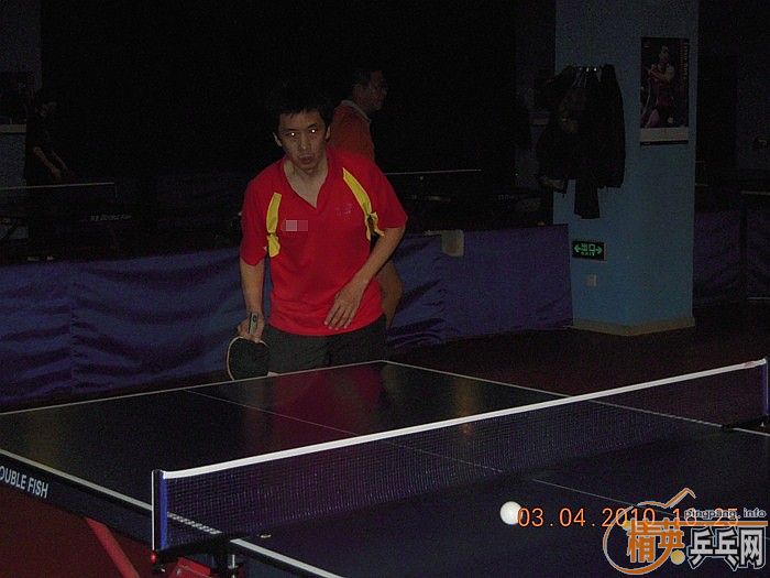 ��Ӣ�����ൺƹ�Ѿ��ֲ�����������״�������ʵ