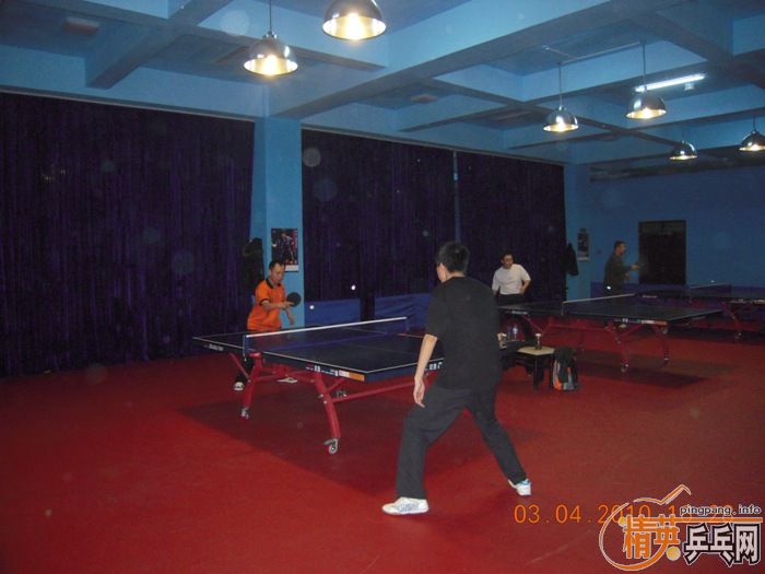 ��Ӣ�����ൺƹ�Ѿ��ֲ�����������״�������ʵ