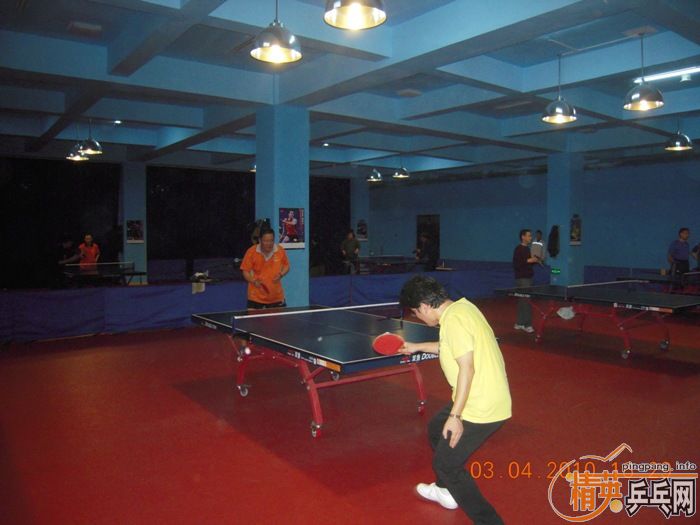 ��Ӣ�����ൺƹ�Ѿ��ֲ�����������״�������ʵ