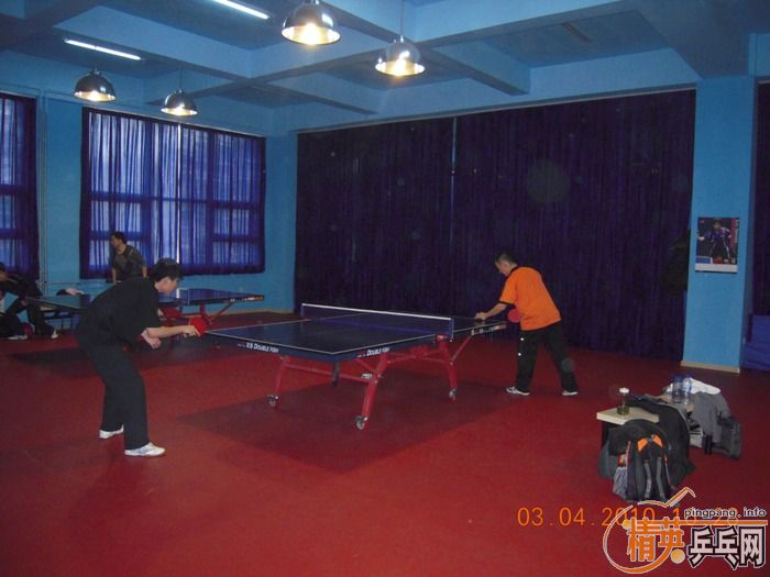 ��Ӣ�����ൺƹ�Ѿ��ֲ�����������״�������ʵ