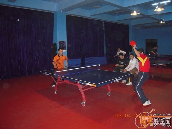 ��Ӣ�����ൺƹ�Ѿ��ֲ�����������״�������ʵ