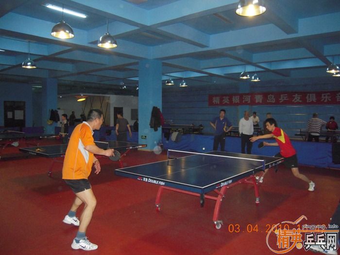 ��Ӣ�����ൺƹ�Ѿ��ֲ�����������״�������ʵ