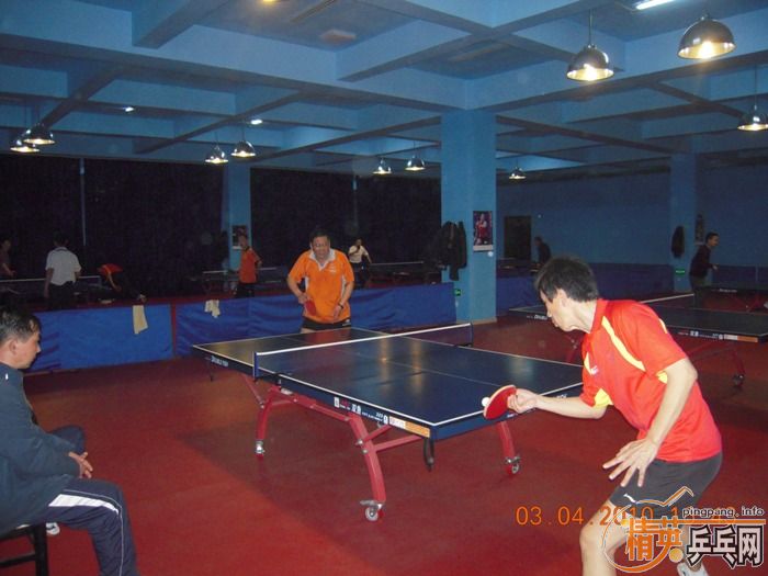 ��Ӣ�����ൺƹ�Ѿ��ֲ�����������״�������ʵ