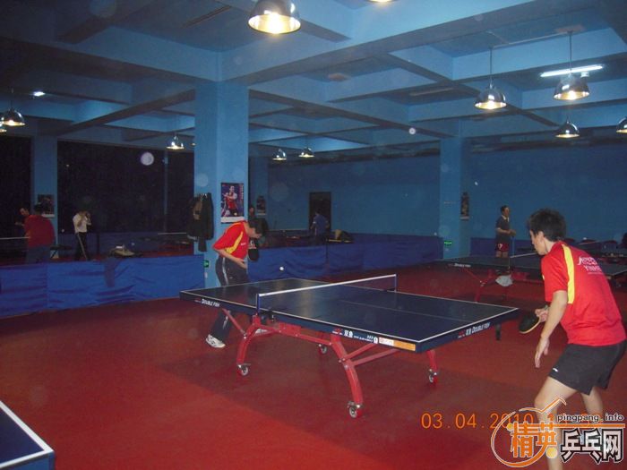 ��Ӣ�����ൺƹ�Ѿ��ֲ�����������״�������ʵ