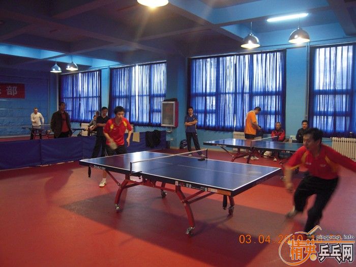 ��Ӣ�����ൺƹ�Ѿ��ֲ�����������״�������ʵ