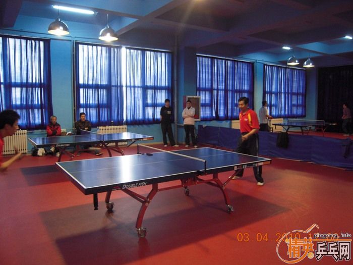 ��Ӣ�����ൺƹ�Ѿ��ֲ�����������״�������ʵ