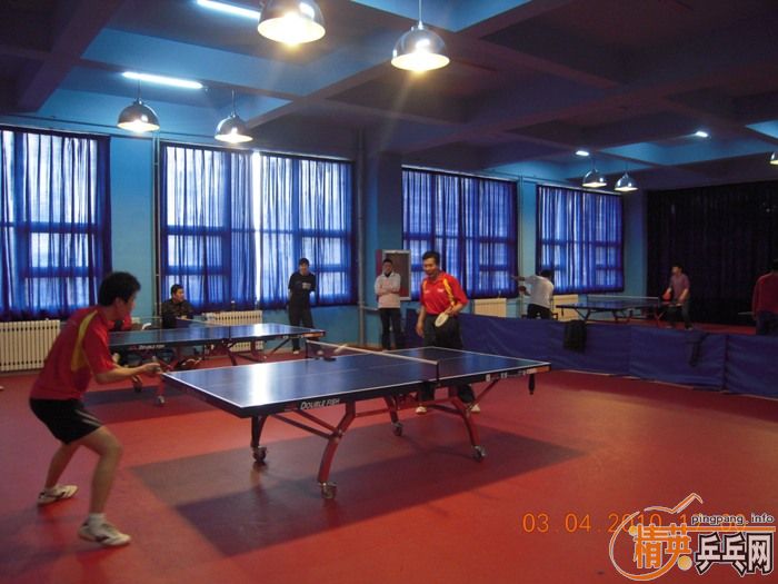 ��Ӣ�����ൺƹ�Ѿ��ֲ�����������״�������ʵ