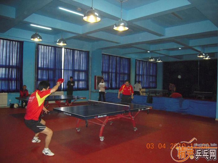 ��Ӣ�����ൺƹ�Ѿ��ֲ�����������״�������ʵ