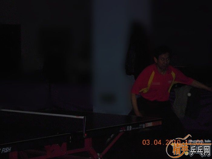 ��Ӣ�����ൺƹ�Ѿ��ֲ�����������״�������ʵ