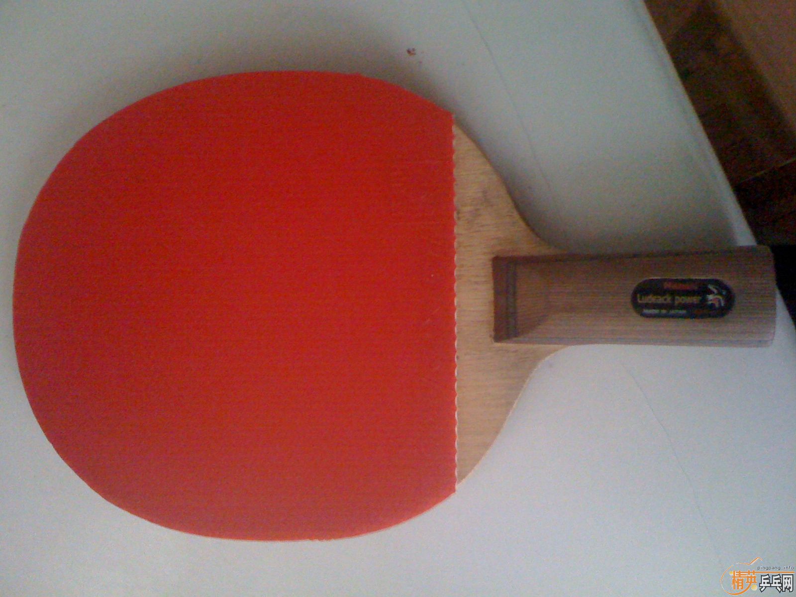 ��רҵ��������������������ְ���X450�죬����F1�ڣ�