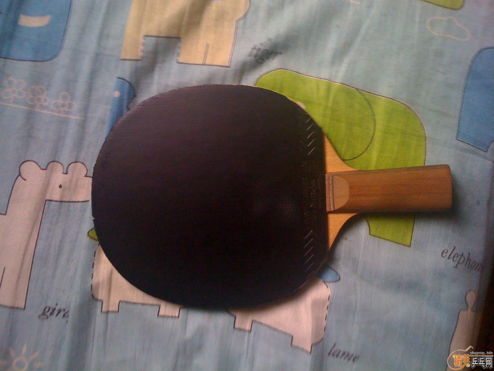 ��רҵ��������������������ְ���X450�죬����F1�ڣ�