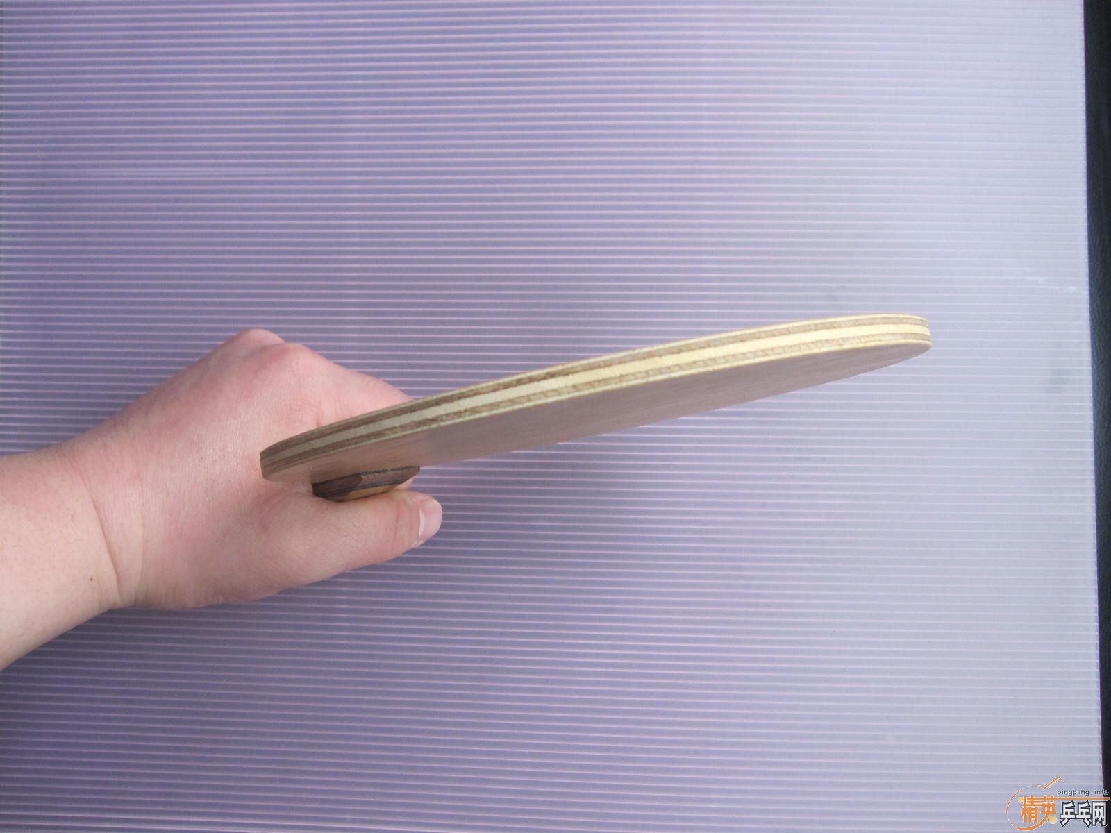 ��һ��FL����С��������׽�