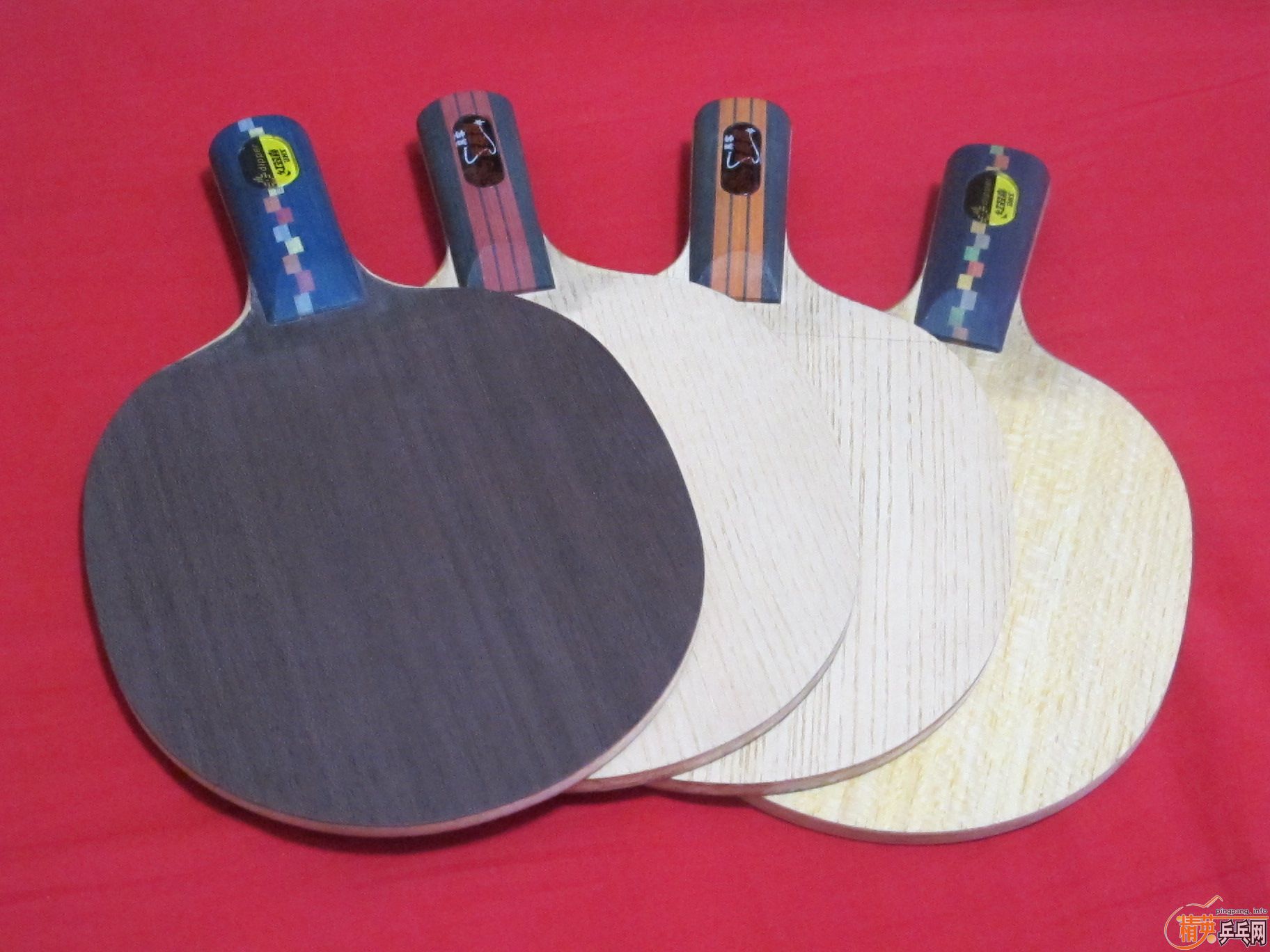 �ѳ����ൺ�������������ѣ����������գ�ŻѪ�����ղص���װ壨�����ˣ���֧��������