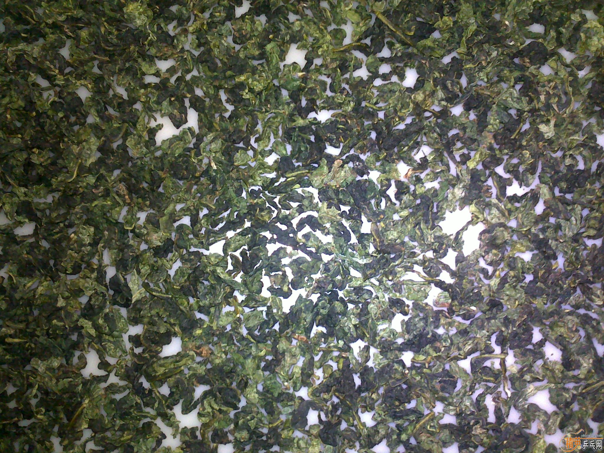 ����һ��������300Ԫ����������psrxy875���ѵ�9������OC�����Ұ�æ��֤��