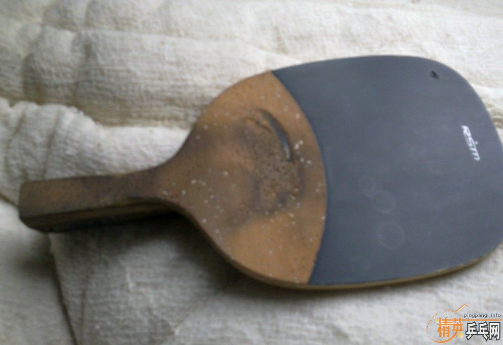 �����׽����׽�