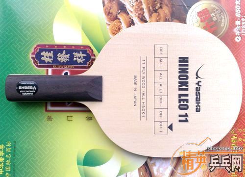 �������� LEO 11����