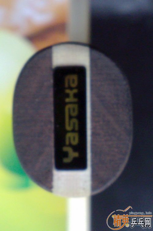 �������� LEO 11����