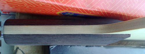 �������� LEO 11����