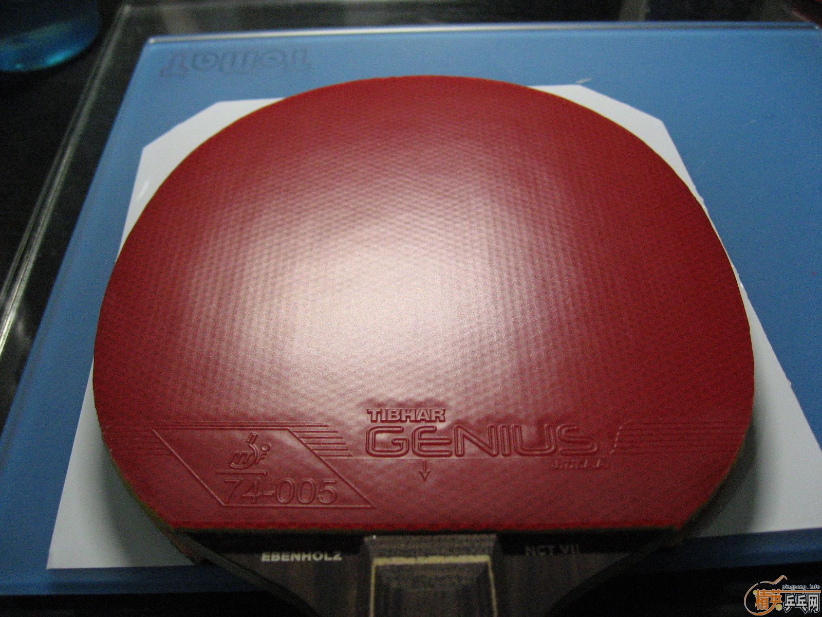 ��ɫGenius�ͺ�ɫBaracuda