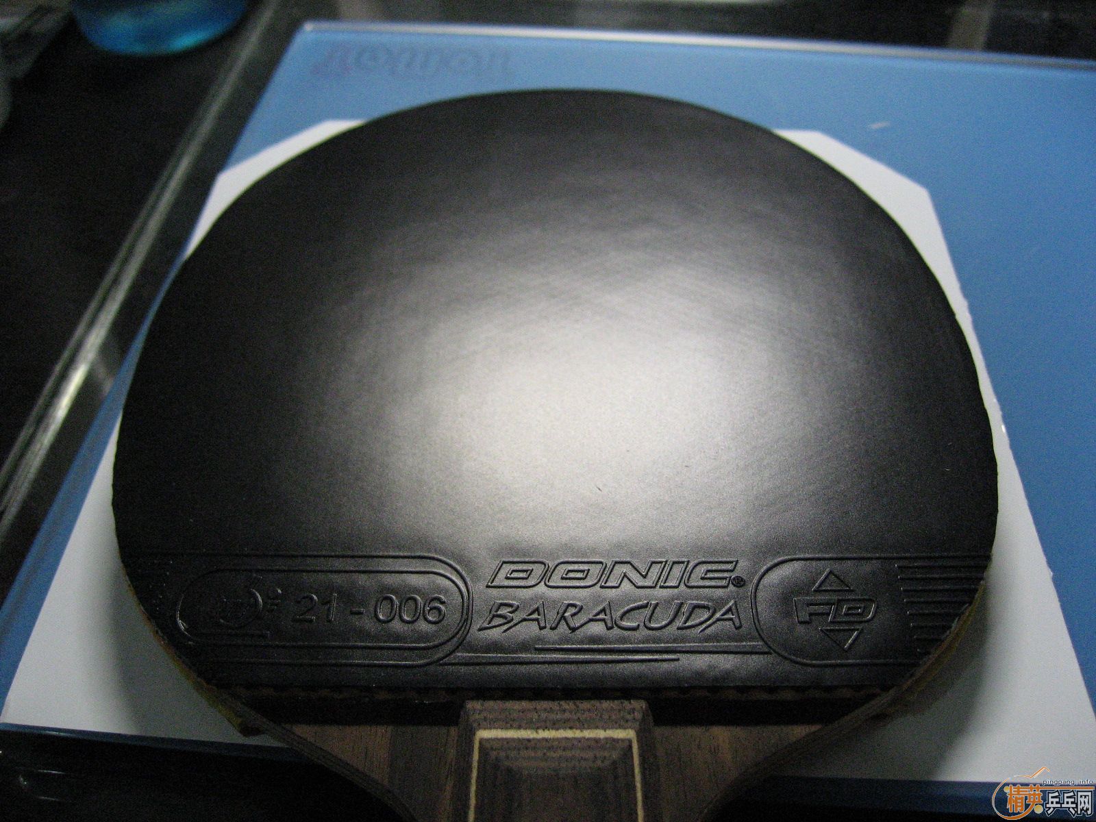 ��ɫGenius�ͺ�ɫBaracuda