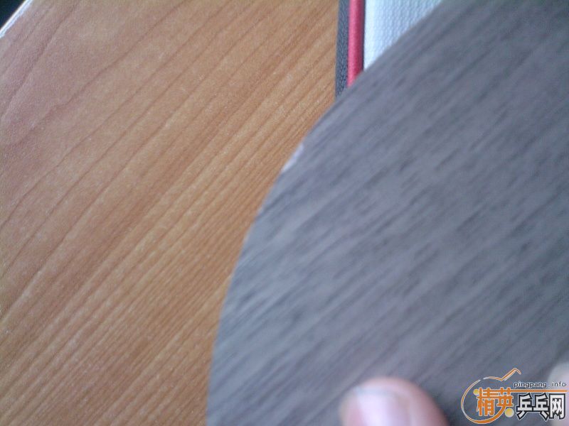 �������������ŵ�  yeo    ����oc          ��������