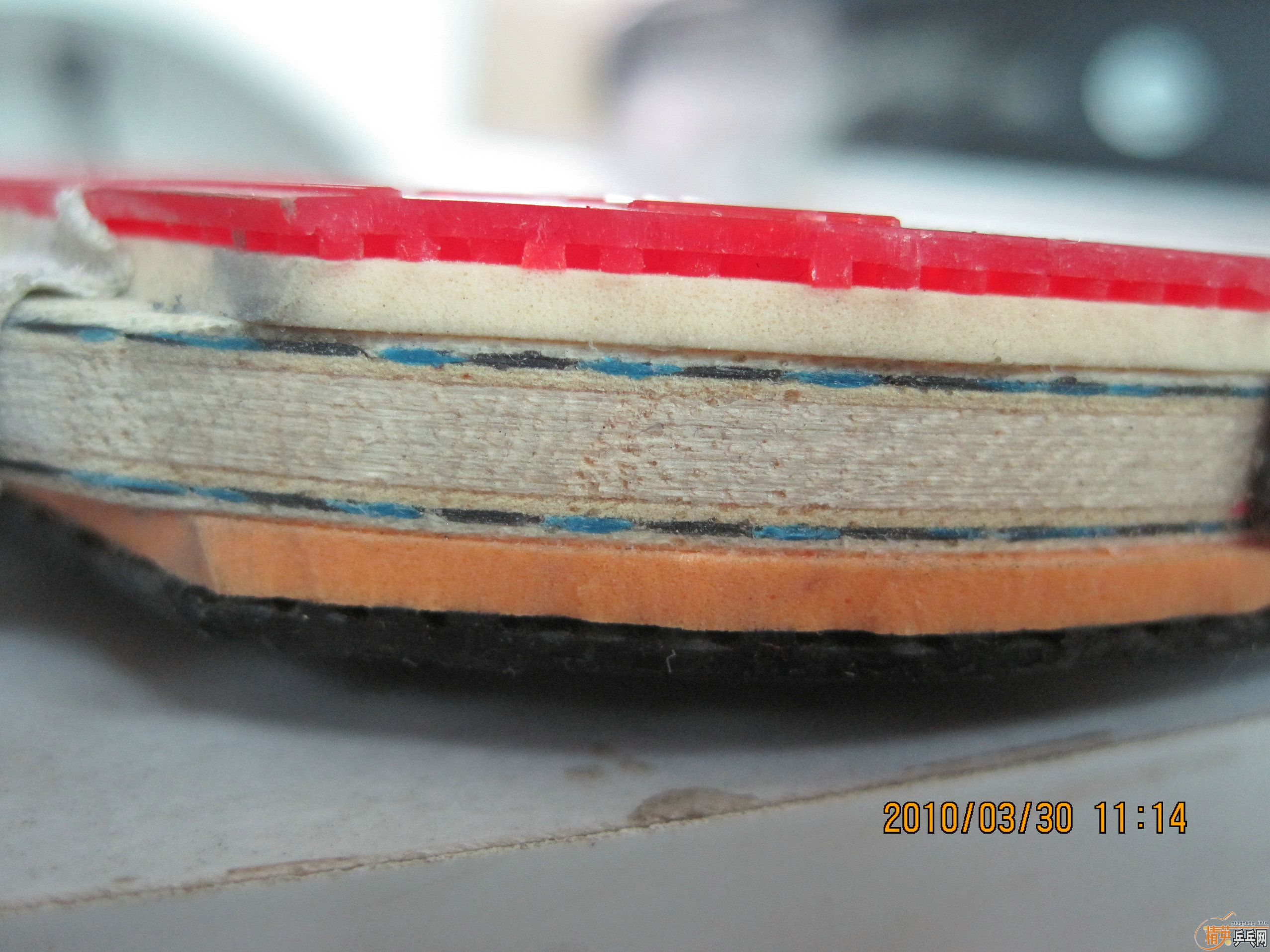 ����������� �л� 660Ԫ���� ֧����