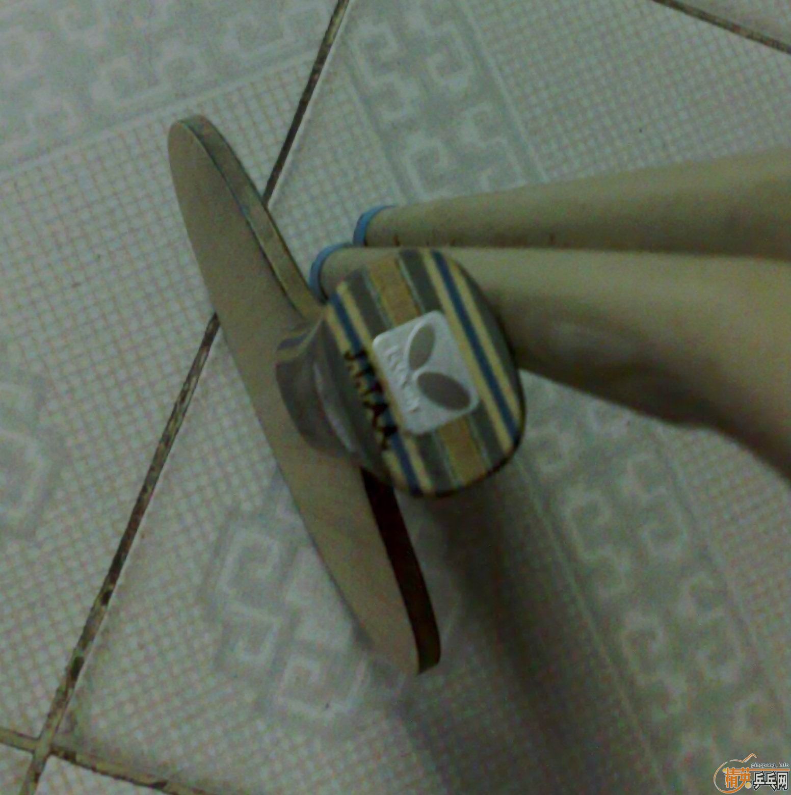 ����9.8���µĺ�����������